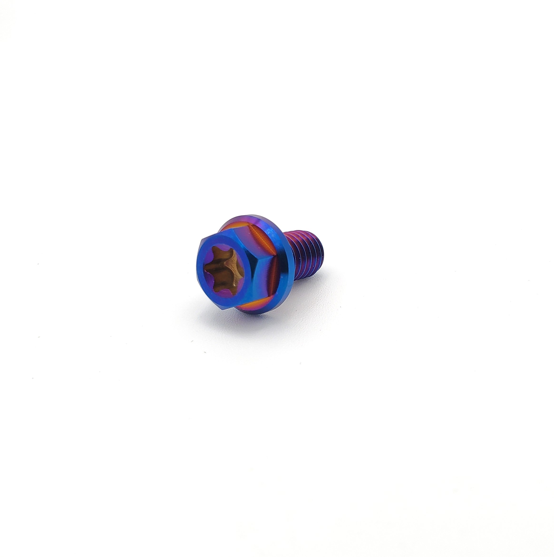 Titanium M6 Bolts (Collective)