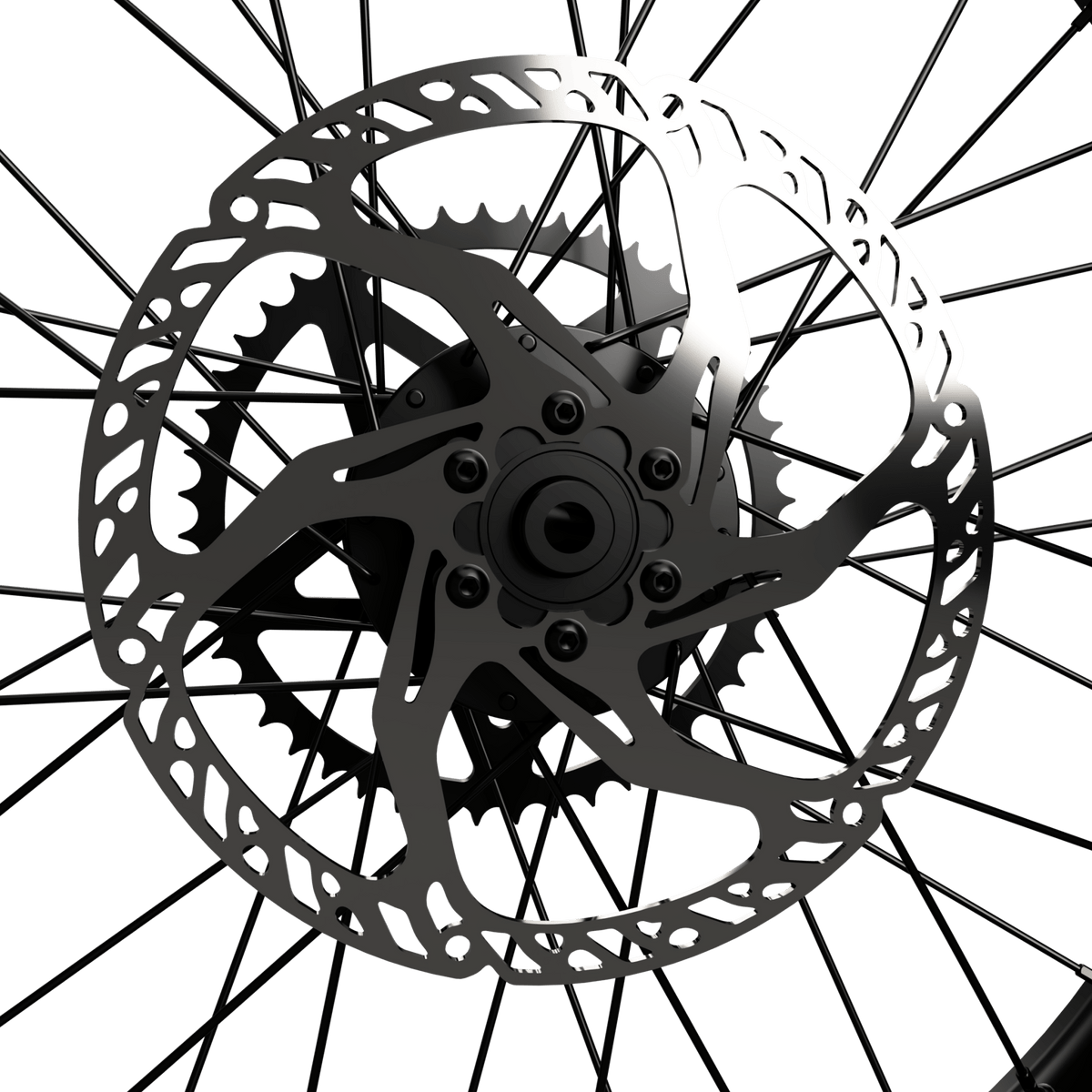 220mm Fixed Rotor Talaria - ٍٍٍِRERODE USA