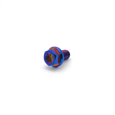 Titanium M6 Bolts (Collective)