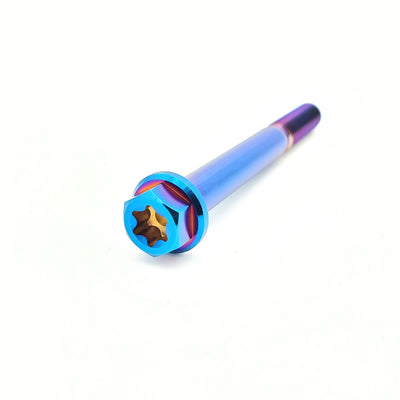 Titanium M6 Bolts (Collective)