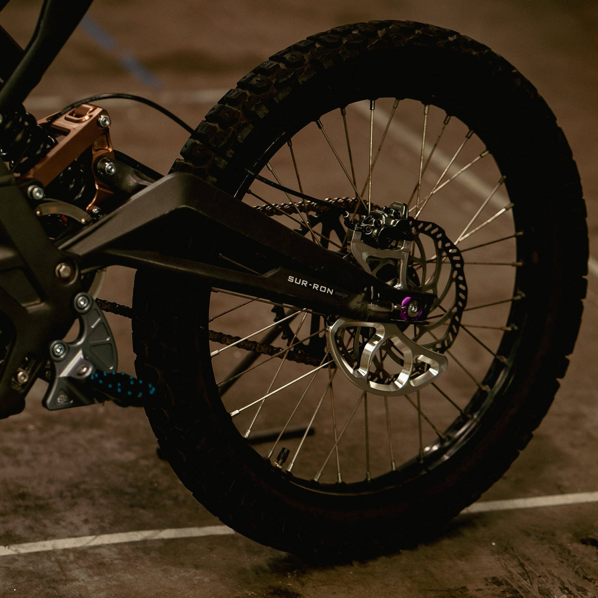 Prickly Disc Guard Fin - ٍٍٍِRERODE USA