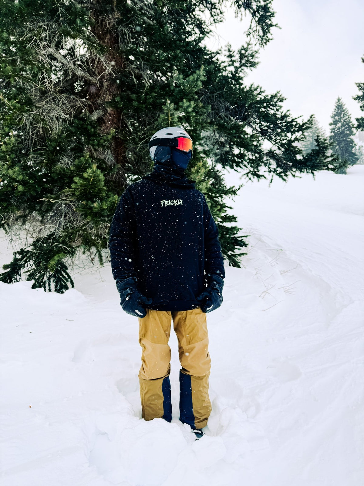 Prickly Pear Hoodie - ٍٍٍِRERODE USA