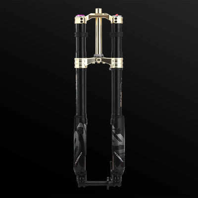 RFloXa Hawk31 Max (Gold)
