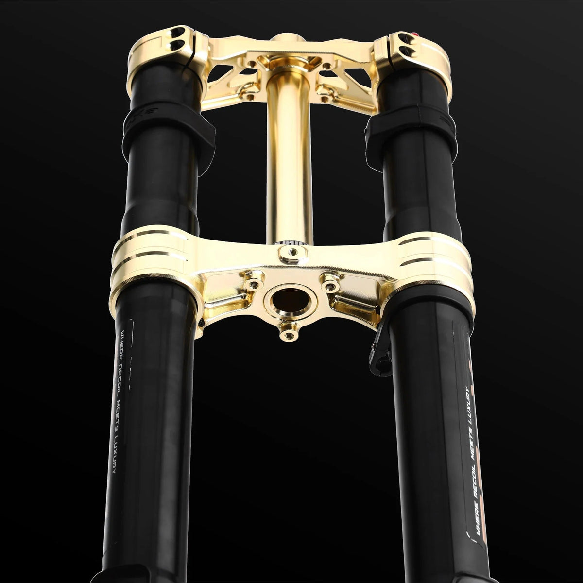 RFloXa Hawk31 Max (Gold) - ٍٍٍِRERODE USA
